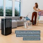 Beurer Air Dehumidifier LE 250 Draw Moisture, Curb Mould, Wet Odour to 60m2