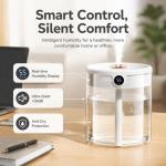2L Dual-Nozzle Ultrasonic Humidifier Powered By USB