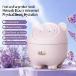 2-in-1 Air Humidifier & Facial Mister