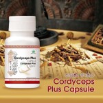 Cordyceps Plus Capsule: Anti-Cancer, Boosts Functions Of liver, lungs, and kidney.