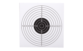 SPA Card Targets - Pack of 100