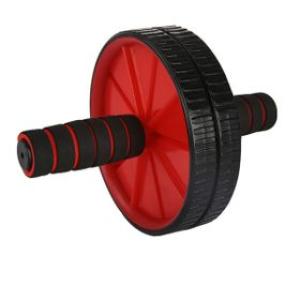 Ab Wheel Roller with Knee Mat