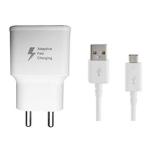 Fast charge Travel adapter and micro usb cable white