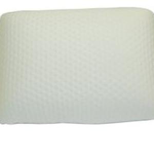 Spine Align - Memory Foam Mini Travel Pillow