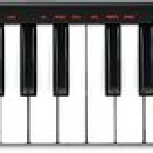Akai Pro LPK25 25-Key Ultra-Portable USB MIDI Keyboard for Laptops