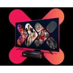 LEXUCO 50"Screen LED LHD Smart Frameless TV
