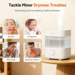 2L Dual Nozzle Humidifier,20dB Quiet,15H Run,Auto Off