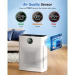Large Room HEPA Air Purifier with PM2.5 Sensor and Washable Pre-Filter