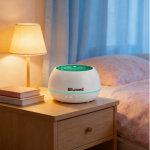 Bltunoed Air Purifying Negative Ion Ultrasonic Aromatherapy