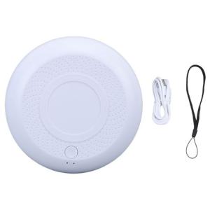 Portable Ozone Air Purifier for Car and Home