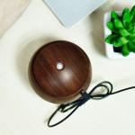 Mini Wood Grain Humidifier 