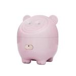 2-in-1 Air Humidifier & Facial Mister
