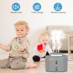 2L Cool Mist Humidifier with Dual Nozzles and Night Light