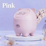 2-in-1 Air Humidifier & Facial Mister