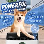 Large Room HEPA Air Purifier with PM2.5 Sensor and Washable Pre-Filter