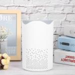 Portable Air Purifier with Negative Ion, USB Powered, 5V 5W