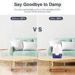 Portable Dehumidifier Air Purifier Silent Absorber Air Dryer Home