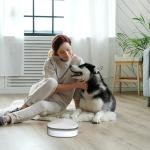 Portable Smoke and Odor Eliminator with One-Button Silent Operation