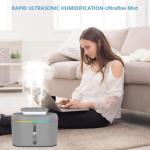 2L Cool Mist Humidifier with Dual Nozzles and Night Light