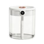 2L Dual-Nozzle Ultrasonic Humidifier Powered By USB