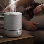 5L Household Large-Capacity Humidifier Silent Operation Efficient Mist
