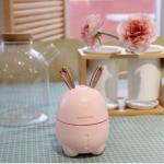 Rabbit Humidifier