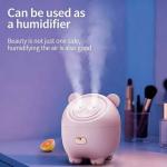 2-in-1 Air Humidifier & Facial Mister
