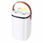 Air Moisturizer Humidifier Portable Cool Mist Dual Spray USB LED Light 2L